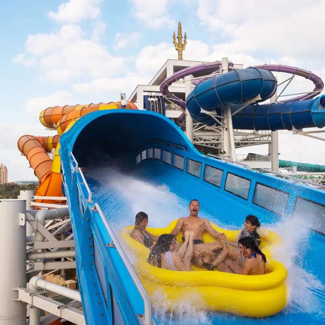 Neem (Azadirachta indica) tree plantation