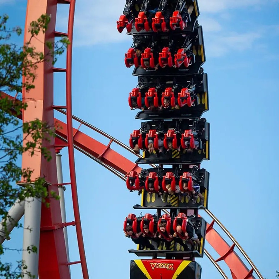 Mahogany (Swietenia mahagoni) tree plantation