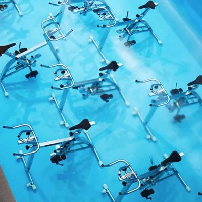 Teak (Tectona grandis) tree plantation