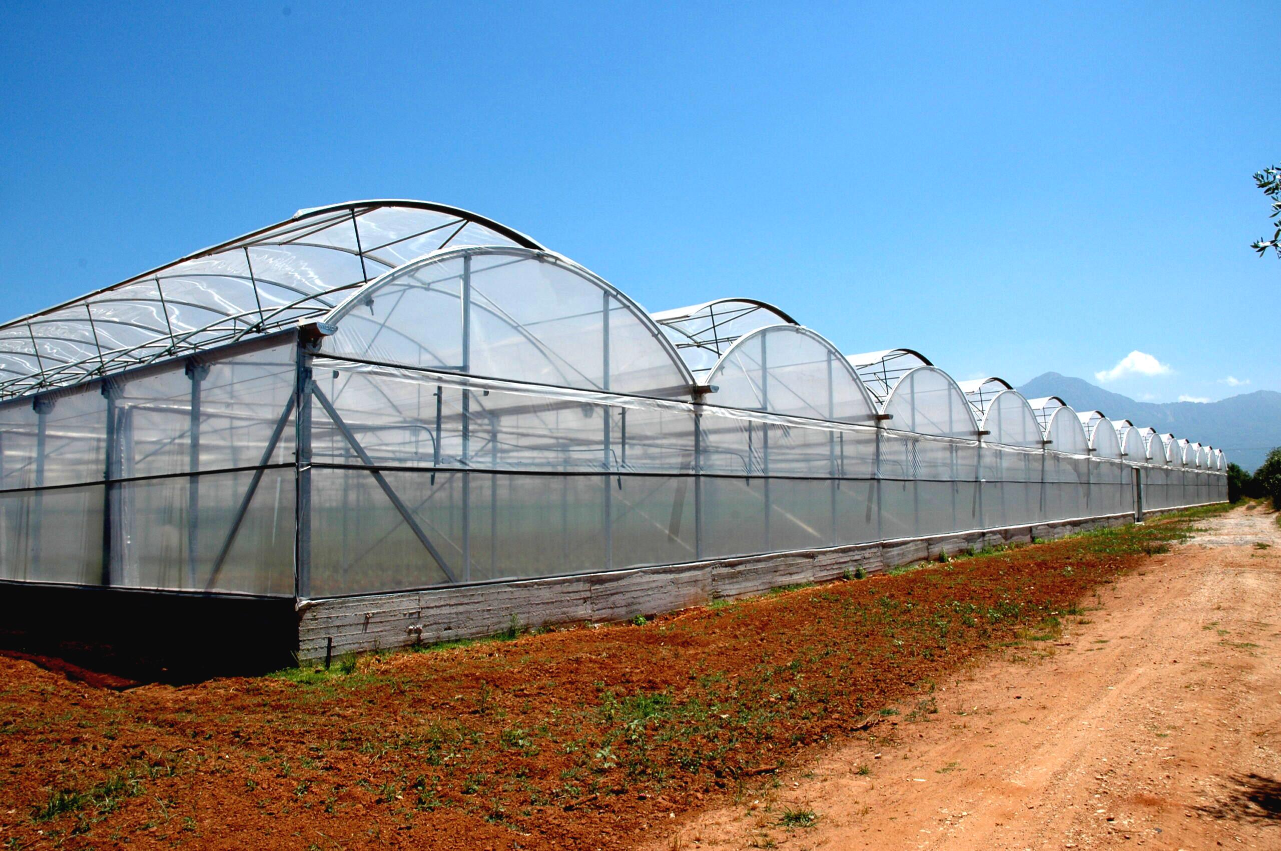 Greenhouse Construction