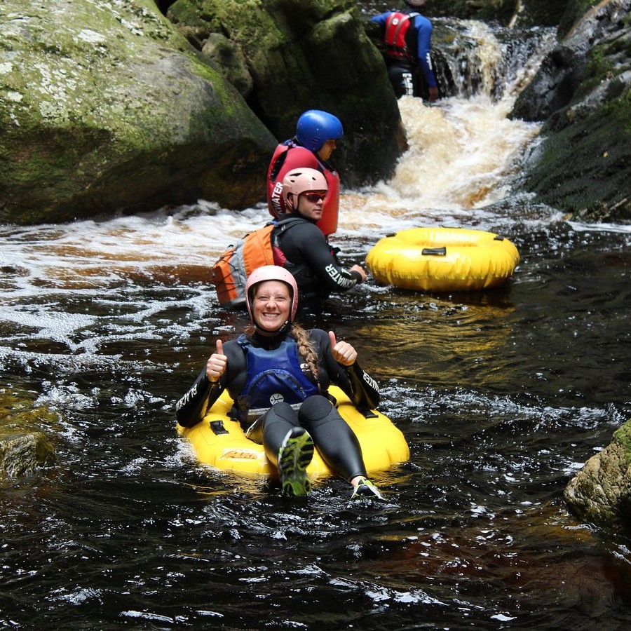 Teak (Tectona grandis) tree plantation
