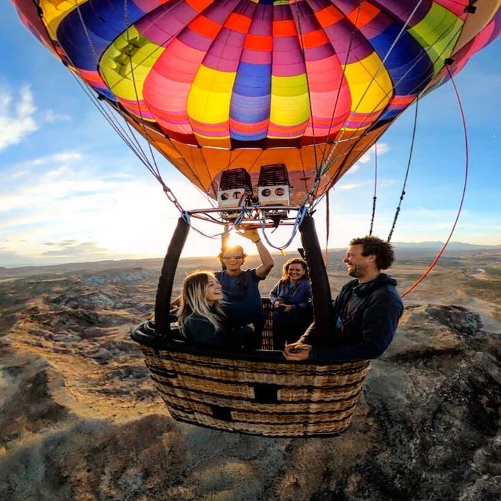 Teak (Tectona grandis) tree plantation