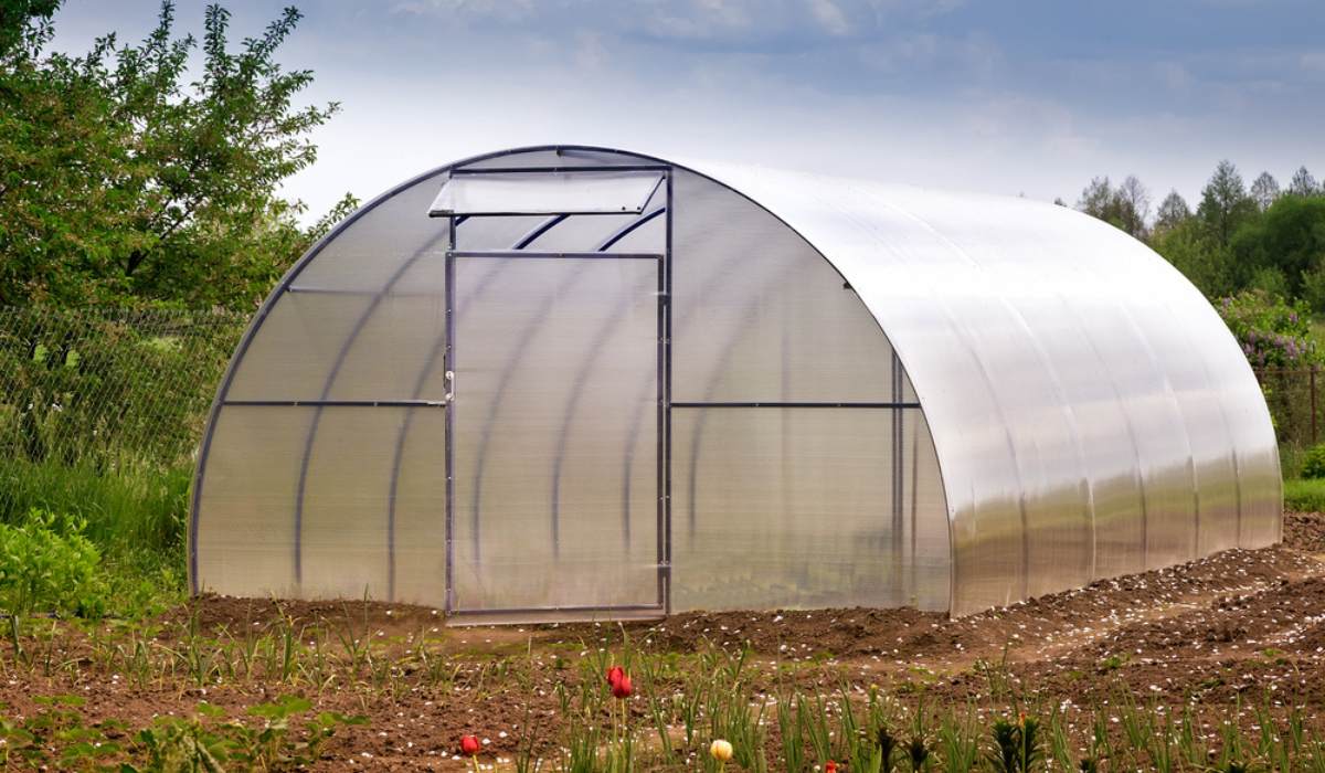 Greenhouse Construction