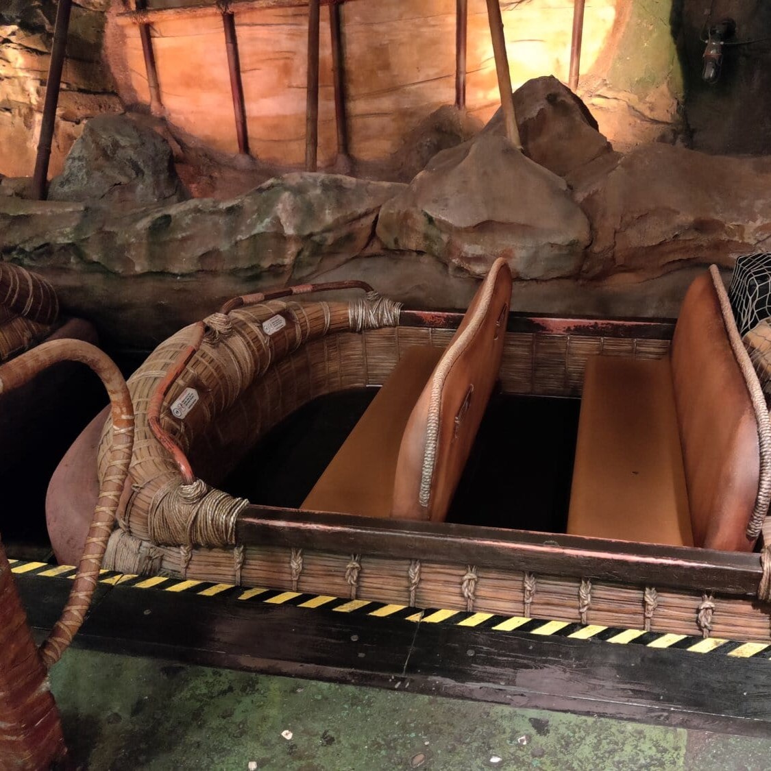 Rain Tree (Samanea saman) tree plantation