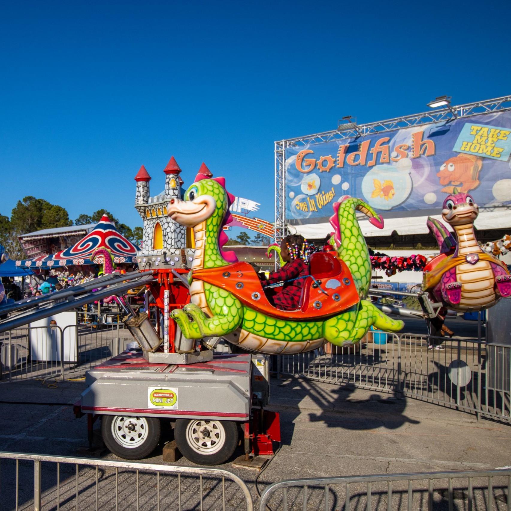 Neem (Azadirachta indica) tree plantation
