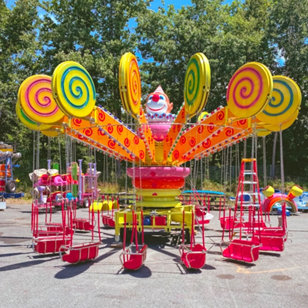 Rain Tree (Samanea saman) tree plantation