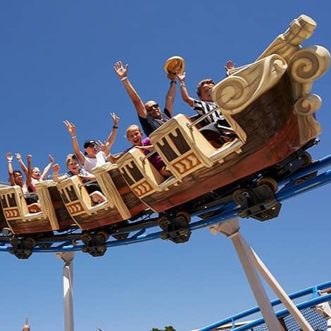 Mahogany (Swietenia mahagoni) tree plantation