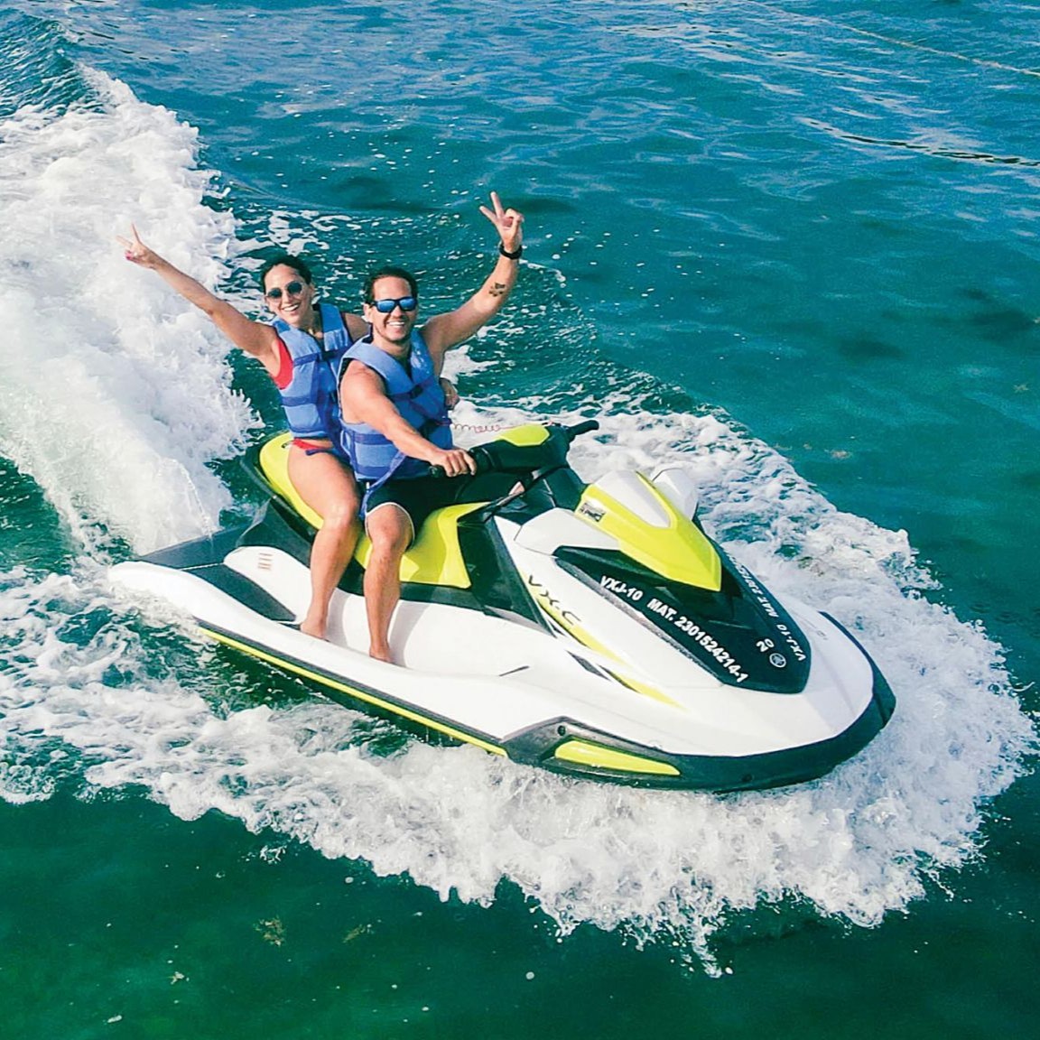 Rain Tree (Samanea saman) tree plantation