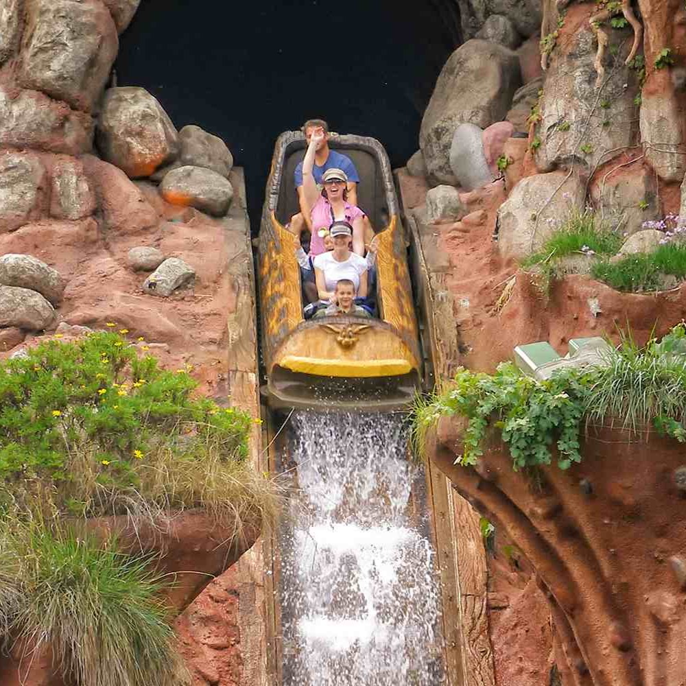 Mahogany (Swietenia mahagoni) tree plantation