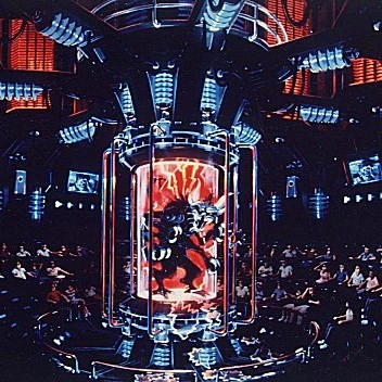 Teak (Tectona grandis) tree plantation