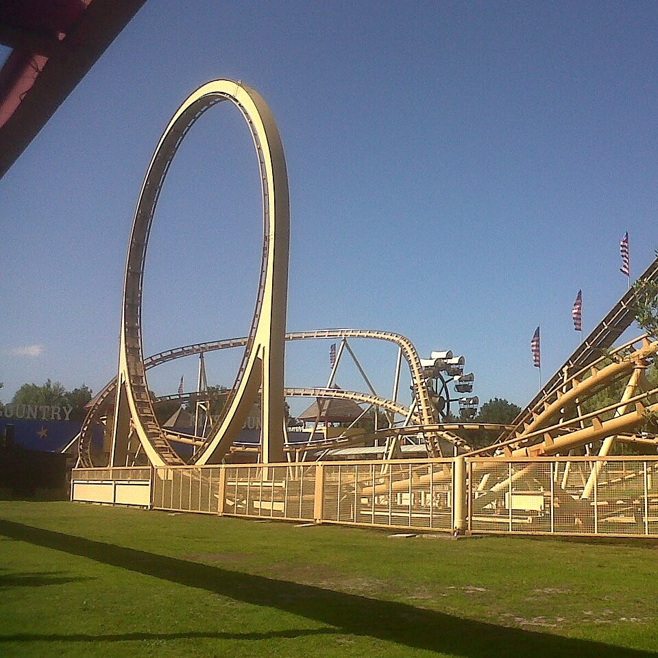 Rain Tree (Samanea saman) tree plantation