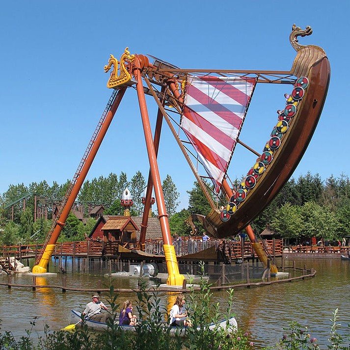 Rain Tree (Samanea saman) tree plantation