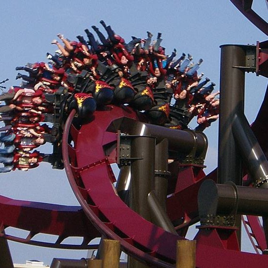 Teak (Tectona grandis) tree plantation