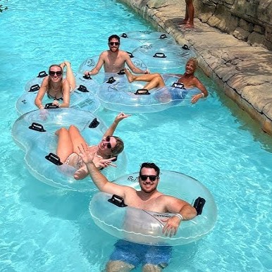 Rain Tree (Samanea saman) tree plantation