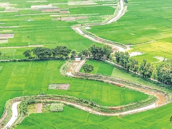 Canal Excavation & Re-Excavation