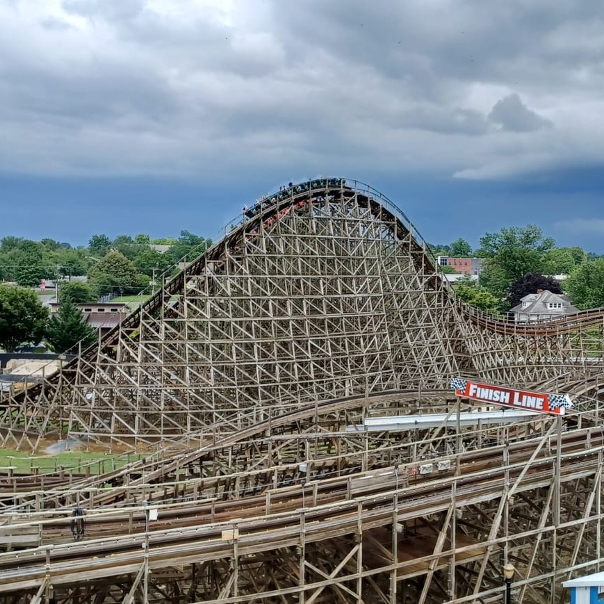 Mahogany (Swietenia mahagoni) tree plantation
