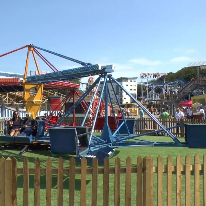 Teak (Tectona grandis) tree plantation