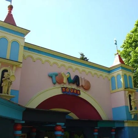 Teak (Tectona grandis) tree plantation