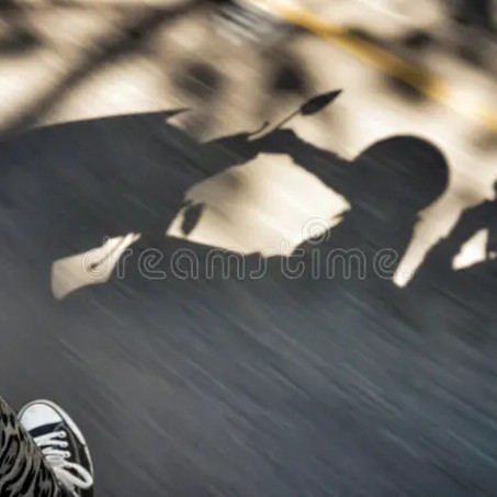 Teak (Tectona grandis) tree plantation