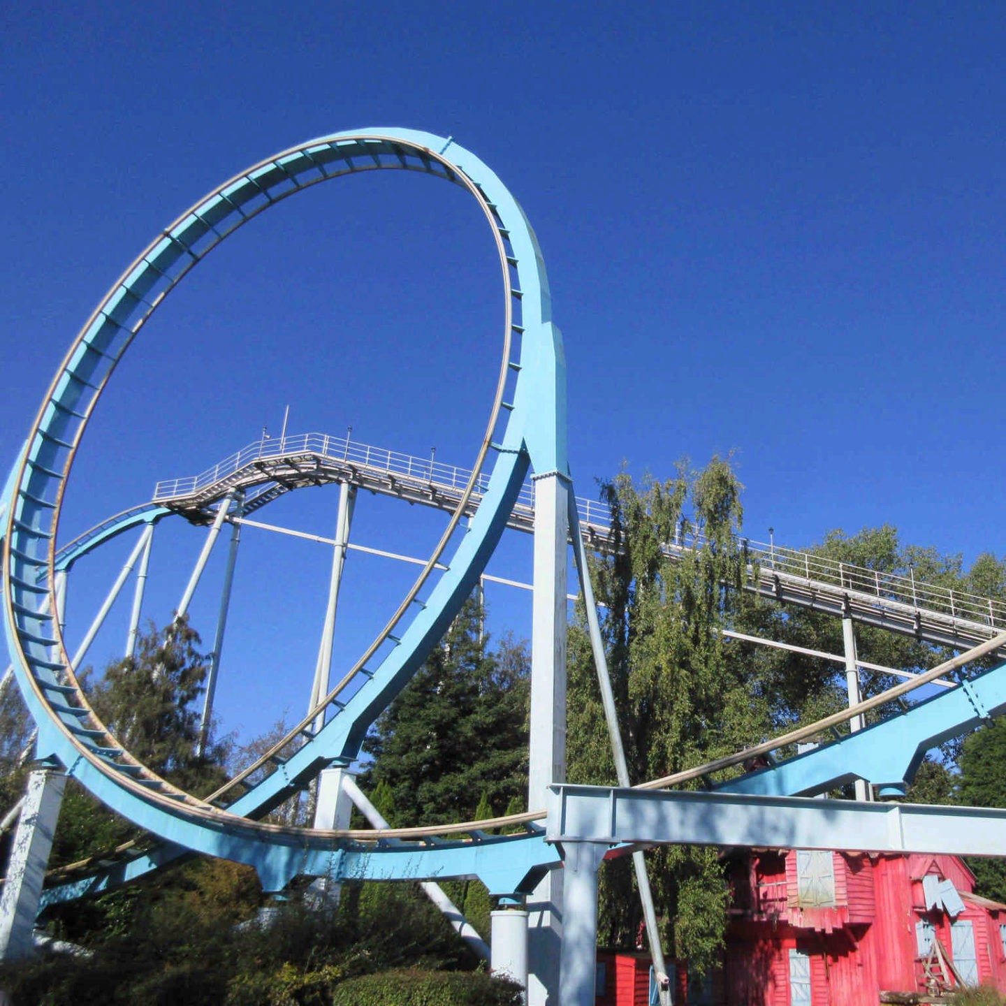 Teak (Tectona grandis) tree plantation